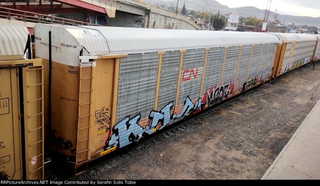 CN 98079 TTGX 993233