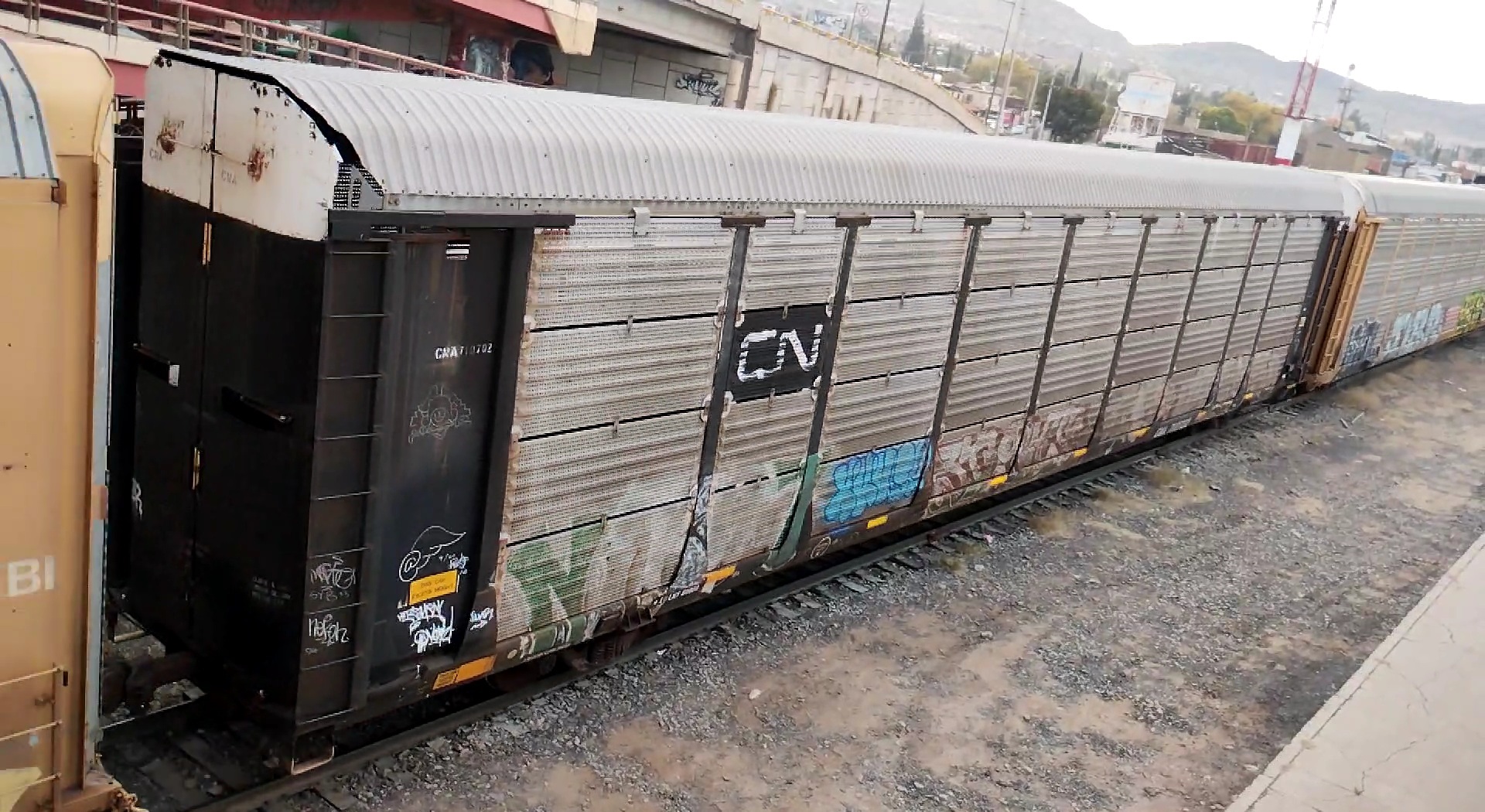 CNA 710702 CNA 710702