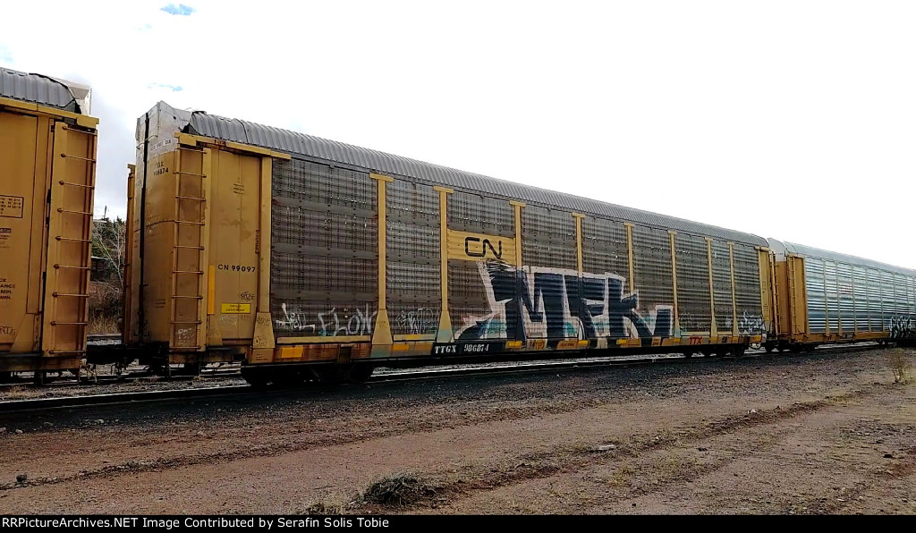 CN 99097 TTGX 986874