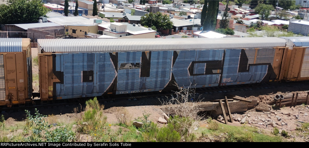 TTGX 983747 Rack NS Con Grafiti 