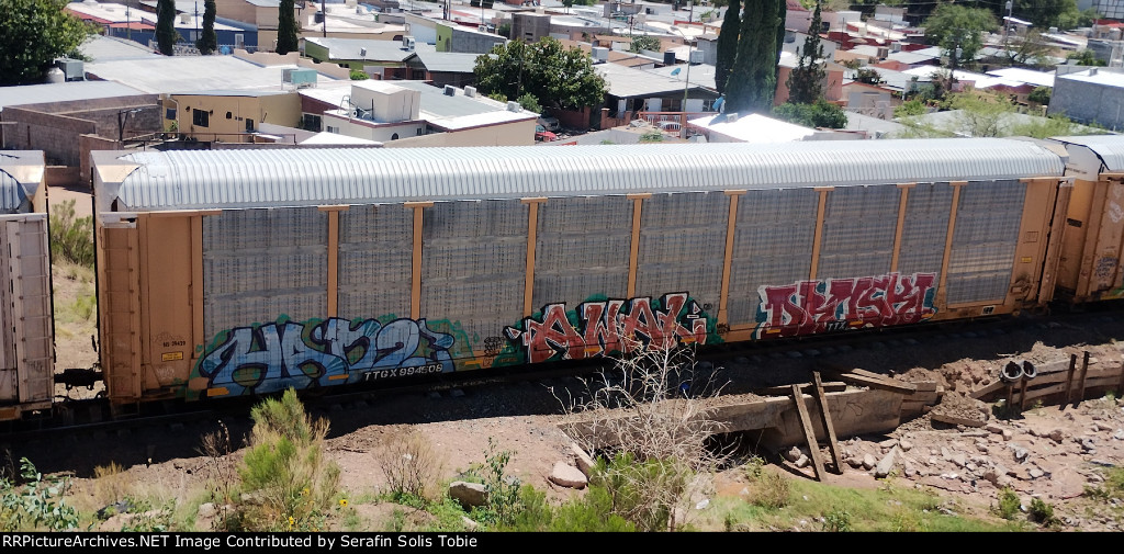 NS 24929 TTGX 994509