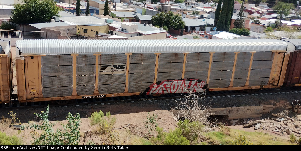 NS 28175 TTGX 979218