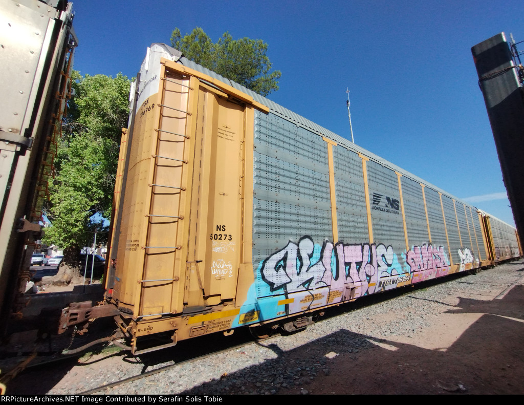 NS 50273 TTGX 706969