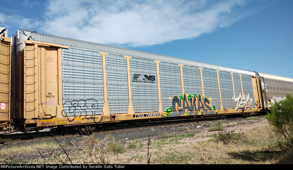 NS 50273 TTGX 706969