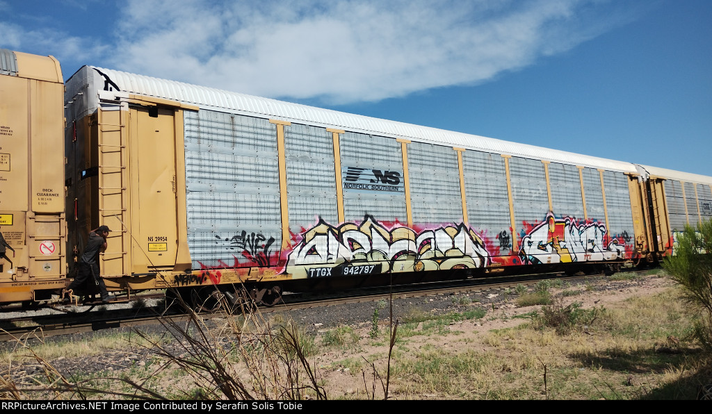 NS 29954 TTGX 942797