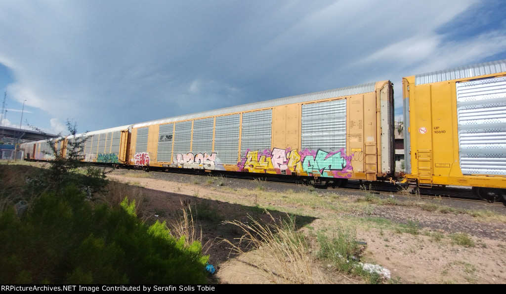 NS 49620 CTTX 691704