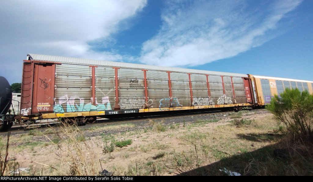 NS 21402 TTGX 975104