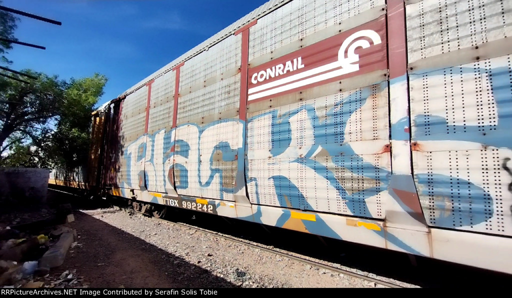 TTGX 992242 Rack NS Ex CR Con Grafiti 