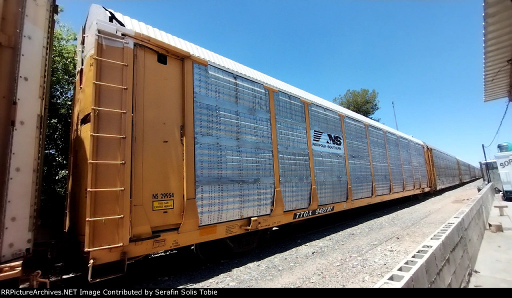 NS 29954 TTGX 942797