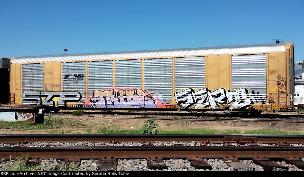 NS 30136 TTGX 697733