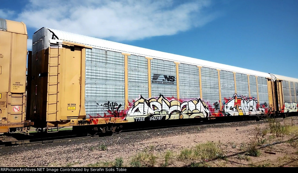 NS 29954 TTGX 942797