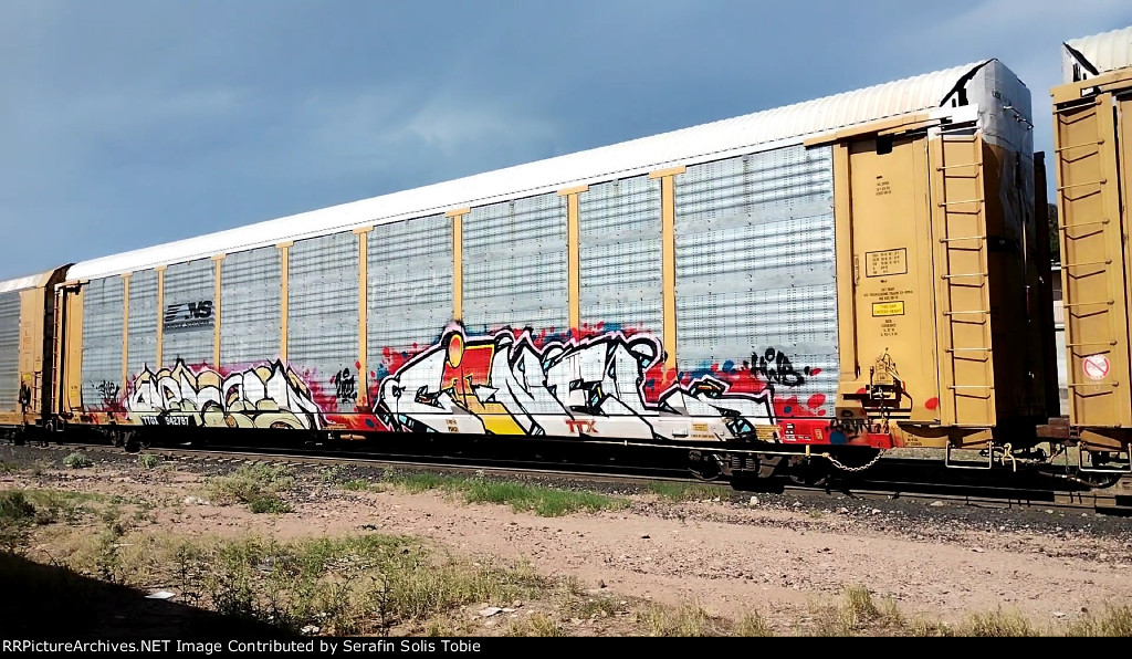 NS 29954 TTGX 942797