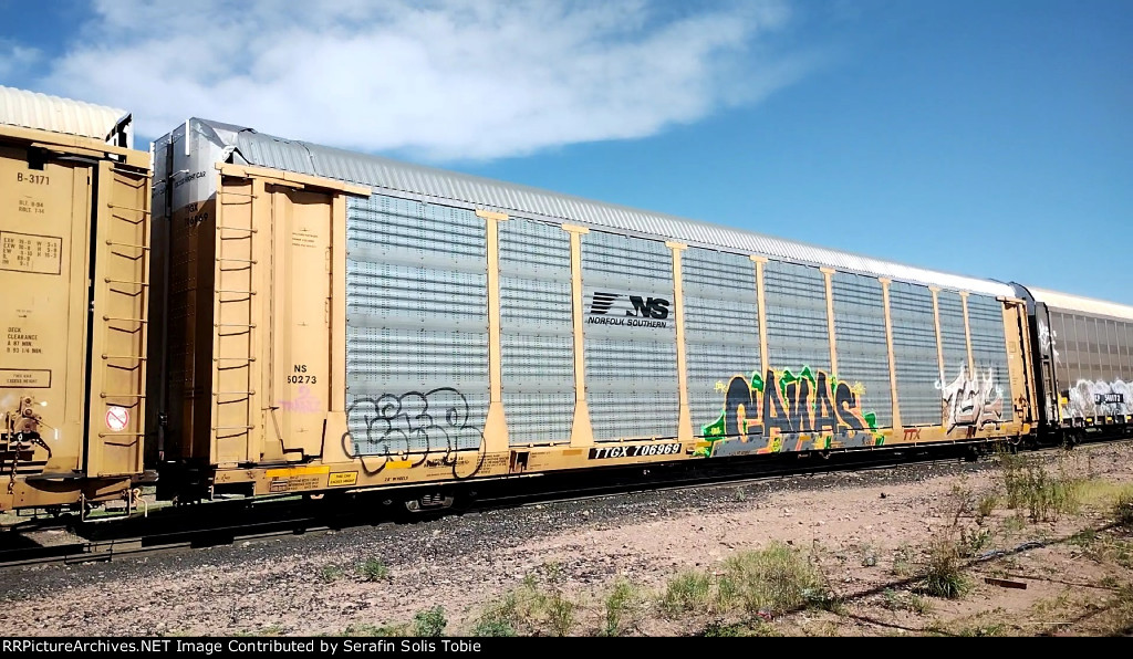 NS 50273 TTGX 706969