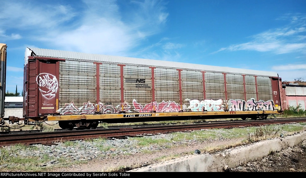 NS 23196 TTGX 993461