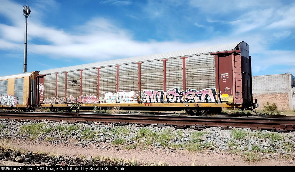 NS 23196 TTGX 993461