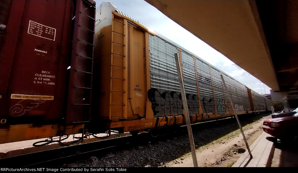 NS 49204 TTGX 704434