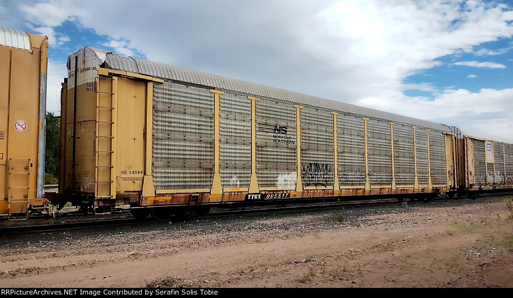 NS 24099 TTGX 985517