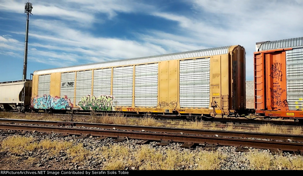 NS 30196 TTGX 698035