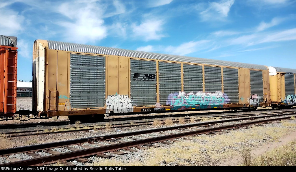 NS 49506 TTGX 691592