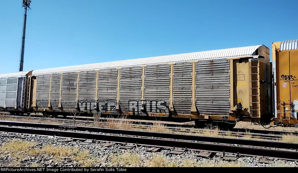 NS 25487 TTGX 157752