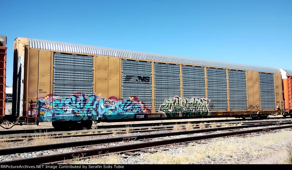 NS 30196 TTGX 698035