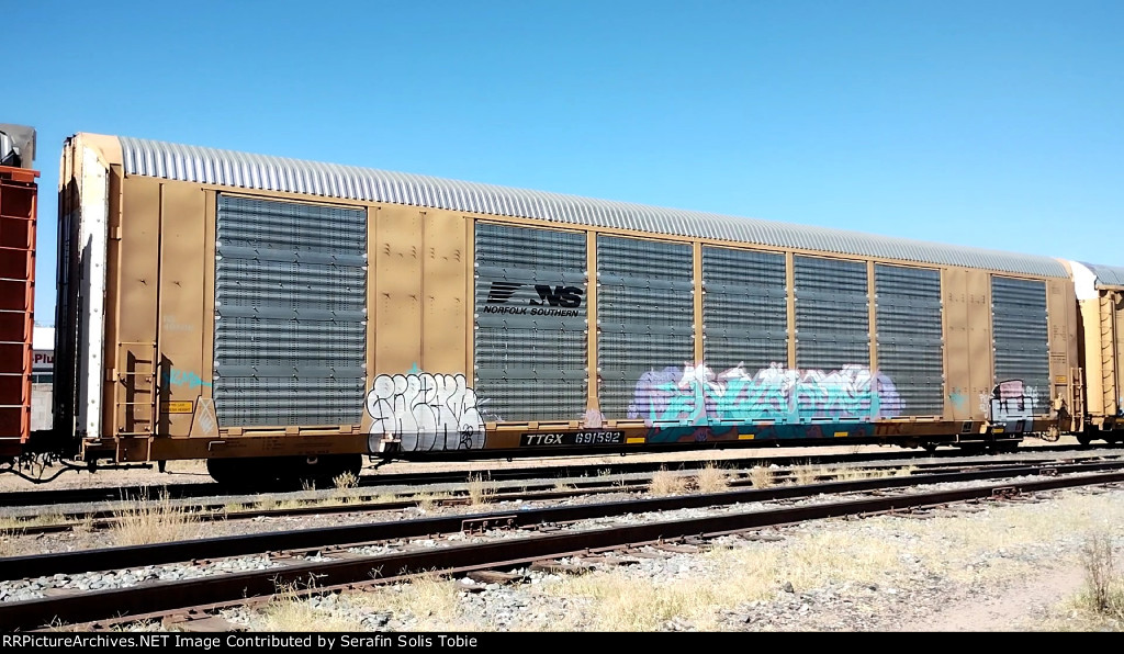 NS 49506 TTGX 691592