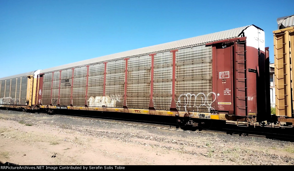 NS 23306 TTGX 993443