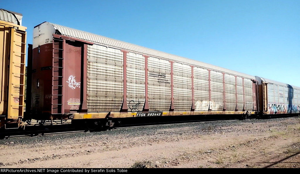 NS 23306 TTGX 993443