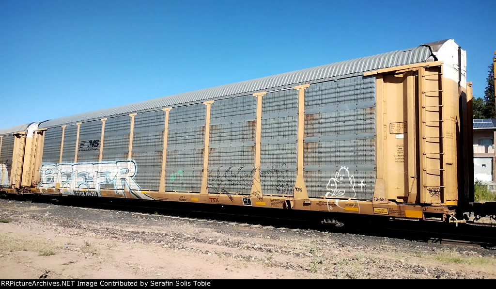 NS 49263 TTGX 704298