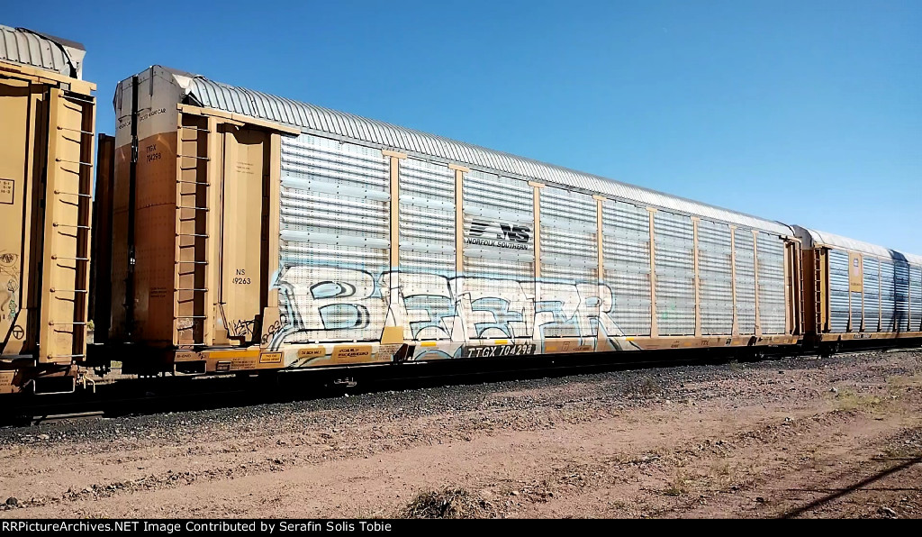 NS 49263 TTGX 704298