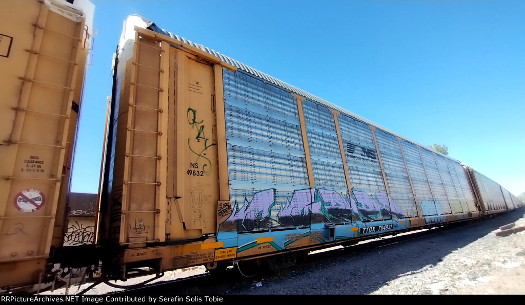 NS 49832 TTGX 704931