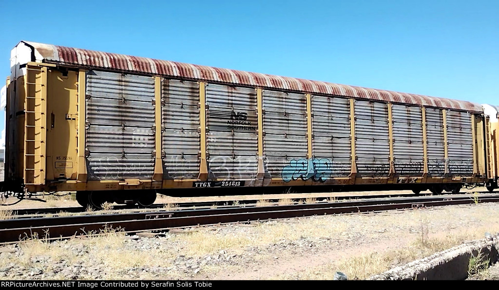 NS 25598 TTGX 254813