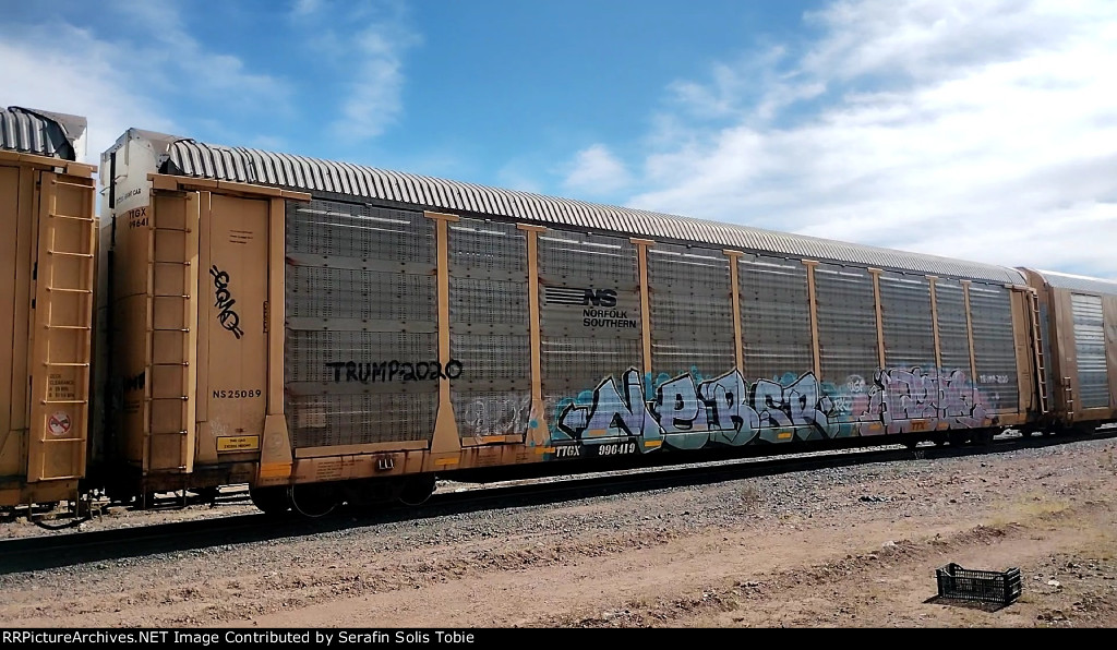 NS 25089 TTGX 996419