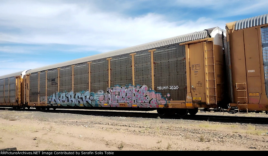 NS 25089 TTGX 996419