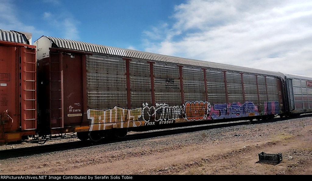 NS 23076 TTGX 979565