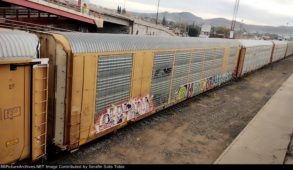 NS 49327 CTTX 690529