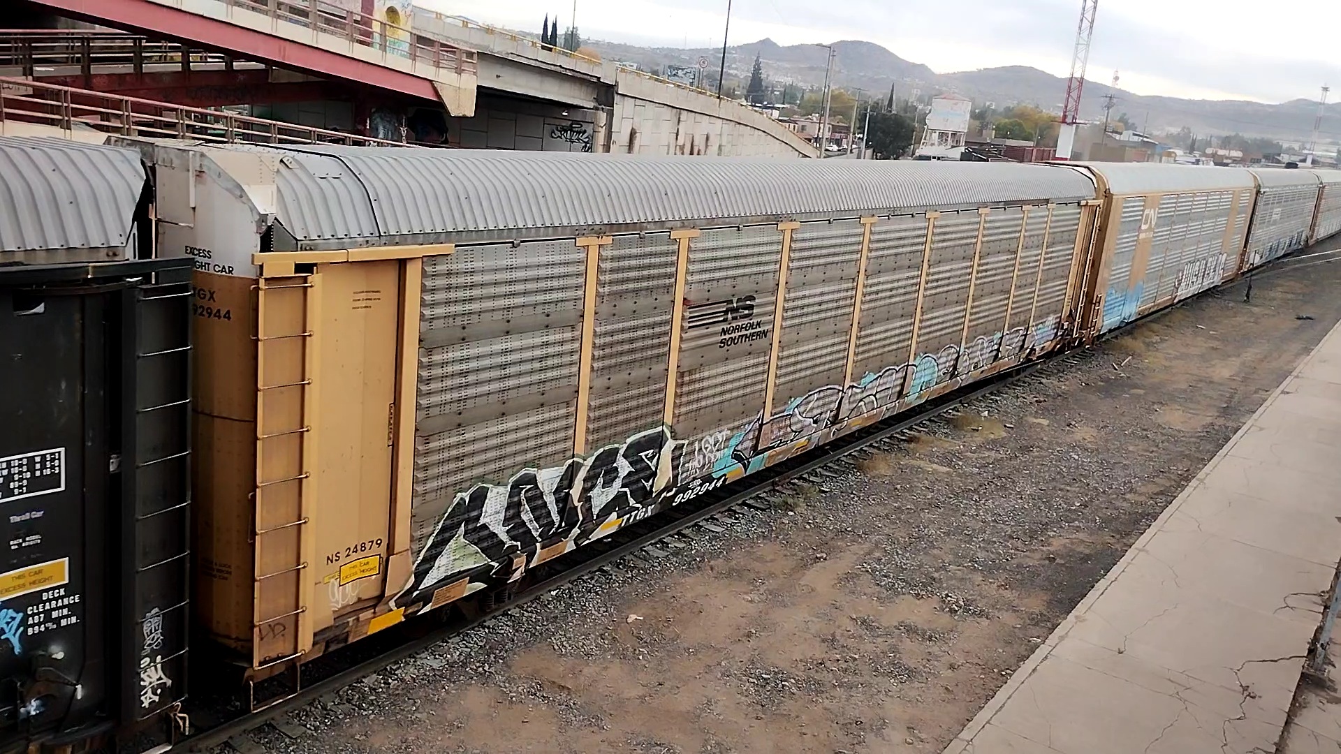 NS 24879 TTGX 992944