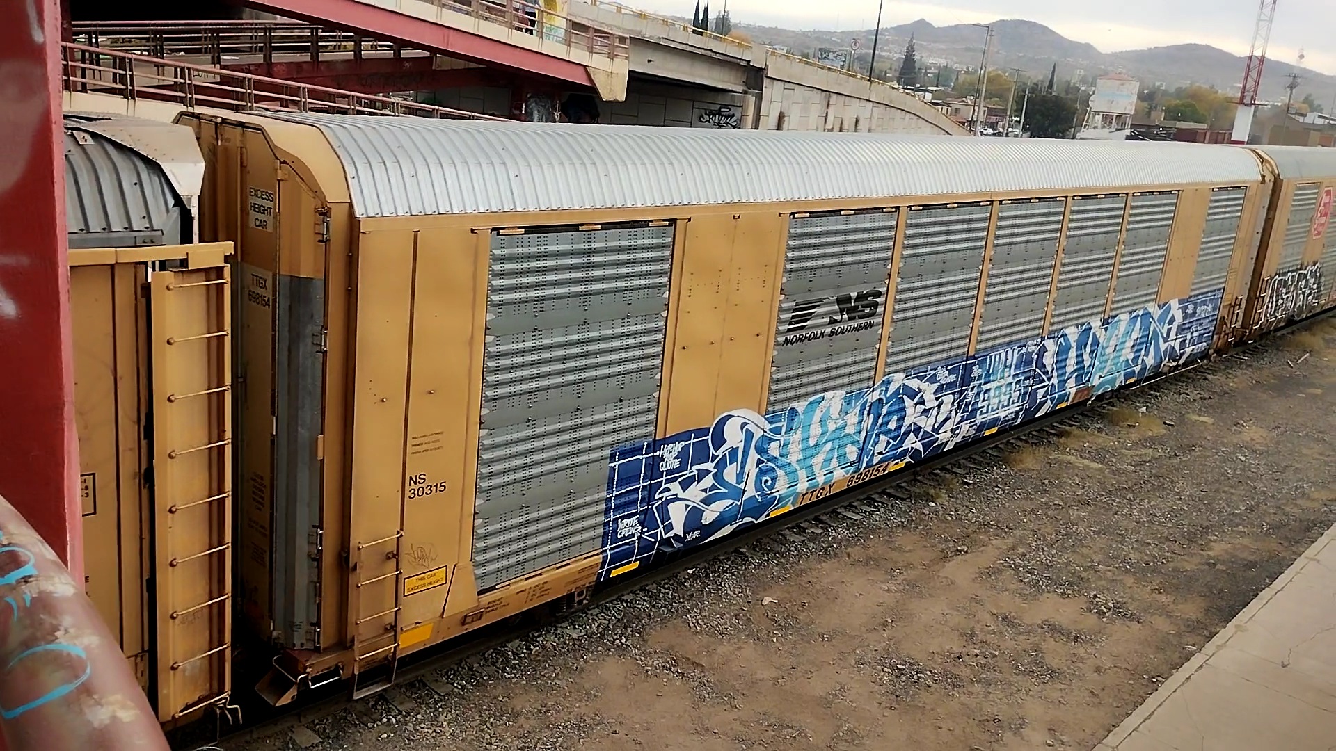 NS 30315 TTGX 698154