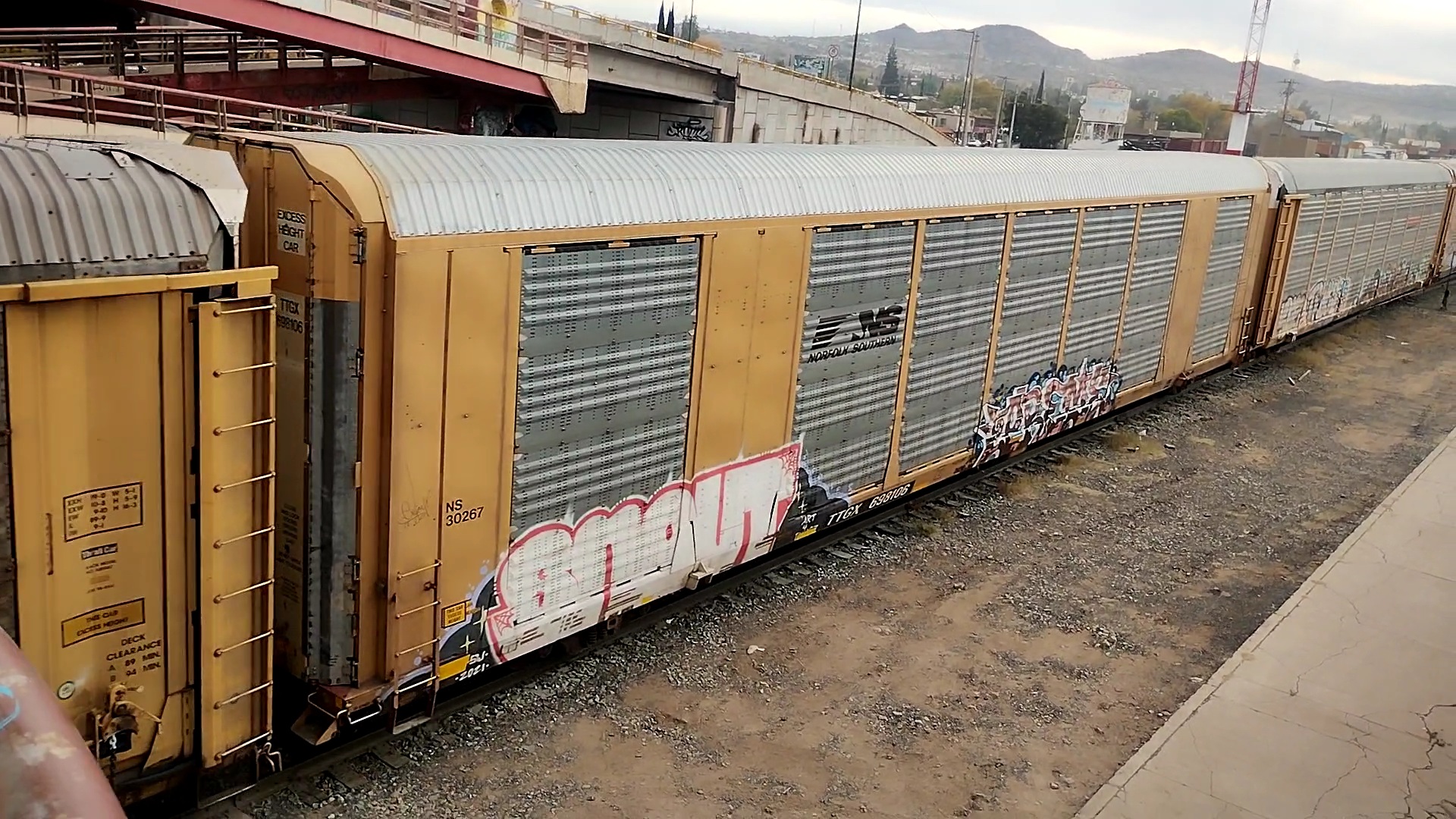 NS 30267 TTGX 698106