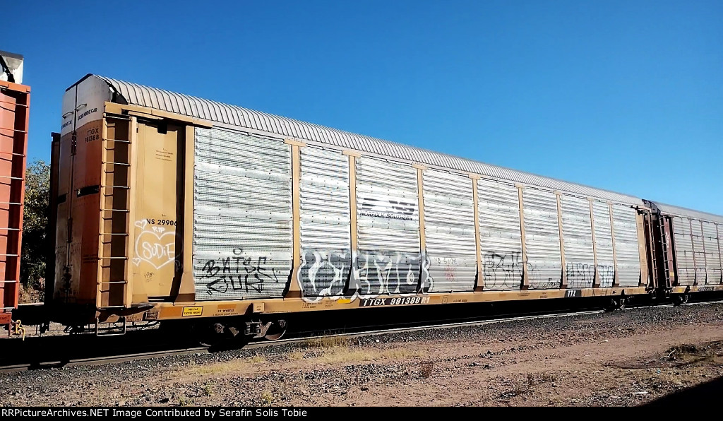 NS 29906 TTGX 981388