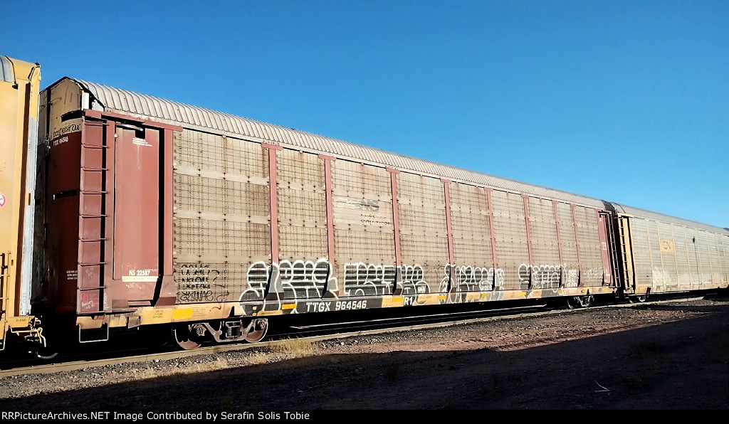 NS 22587 TTGX 964546