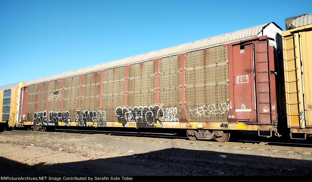 NS 22587 TTGX 964546