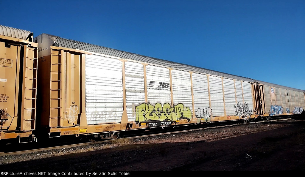 NS 50684 TTGX 707591