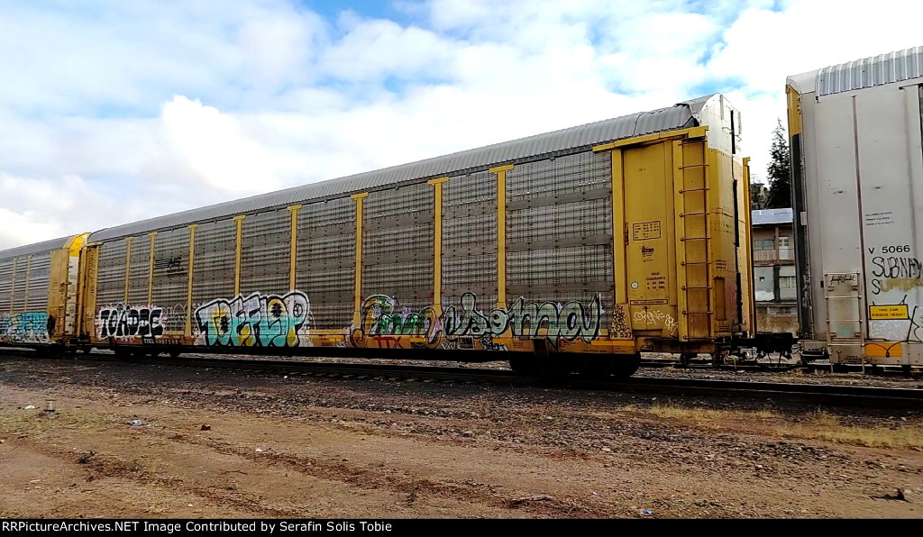NS 24981 TTGX 987598