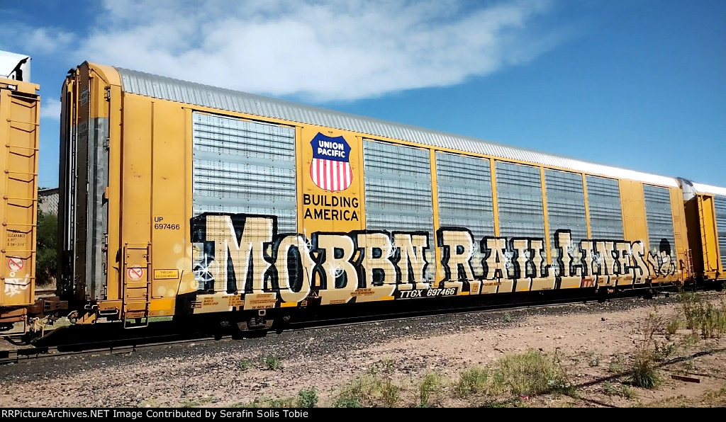 UP 697466 TTGX 697466