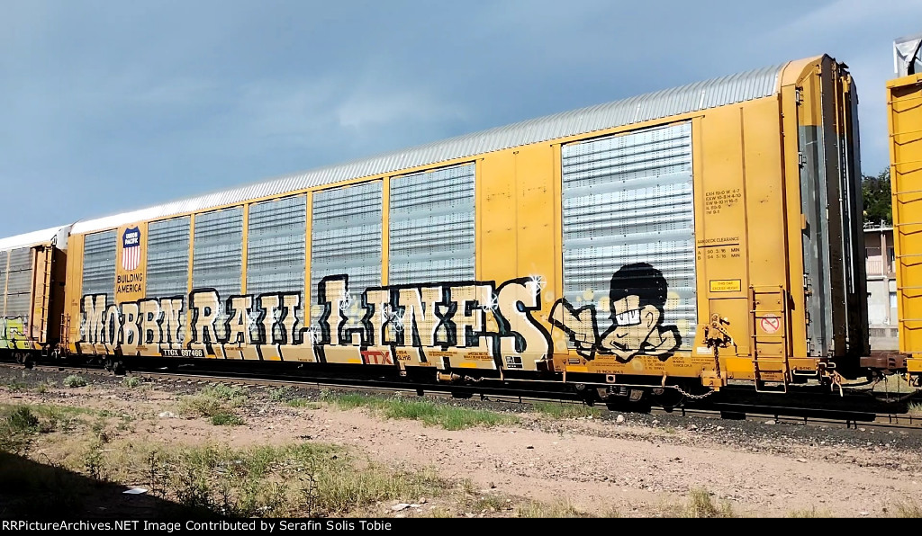 UP 697466 TTGX 697466