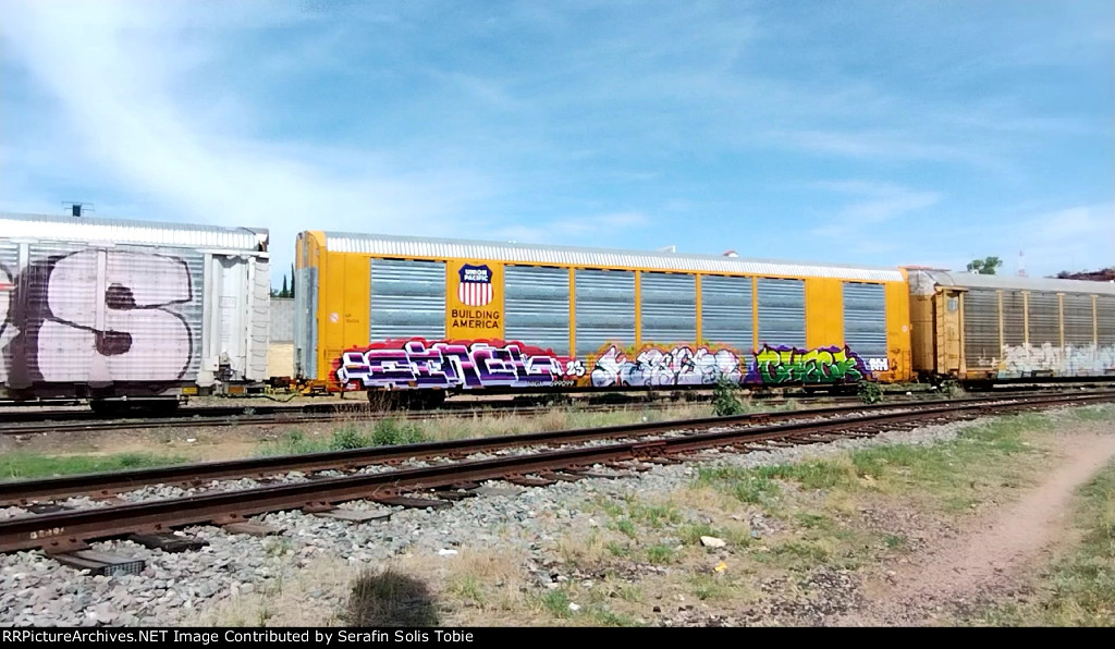 UP 10424 TTGX 699099