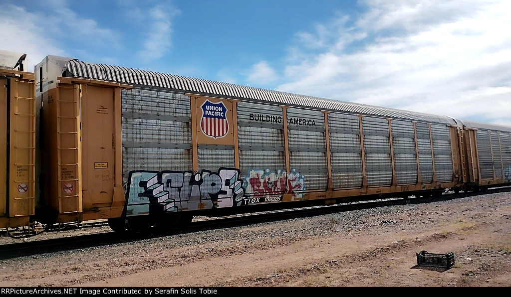 UP 21429 TTGX 159325