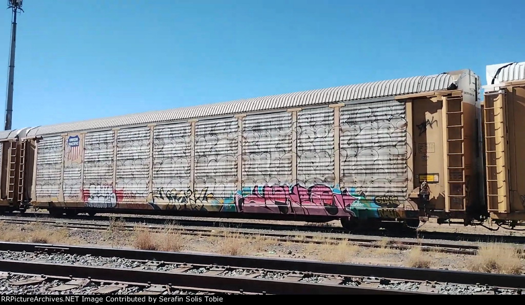 TTGX 988316 Rack UP Con Grafiti 