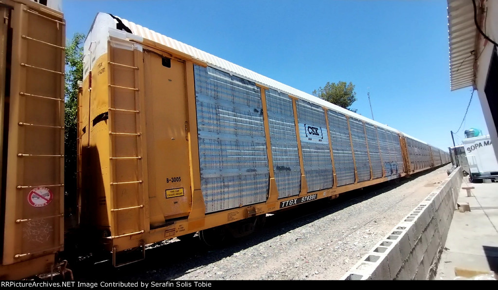CSX B3005 TTGX 974391